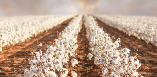 CCI has jurisdiction when Patent Rights are abused: Delhi High Court