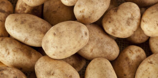 Plant Variety Authority attempts to curb Farmers’ Rights