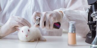 Experiments with Animals: The long road to preventing animal testing in R&D in India
