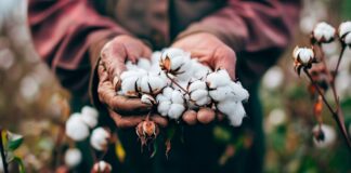 WIPO’s new Treaty to help combat misappropriation of Traditional Knowledge